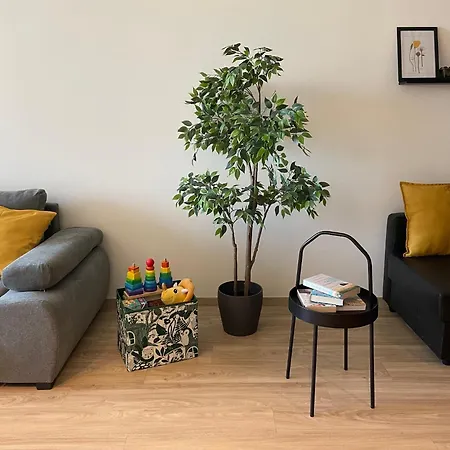 Ankor Apartament